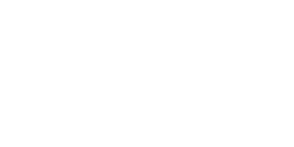 Neusoft-white