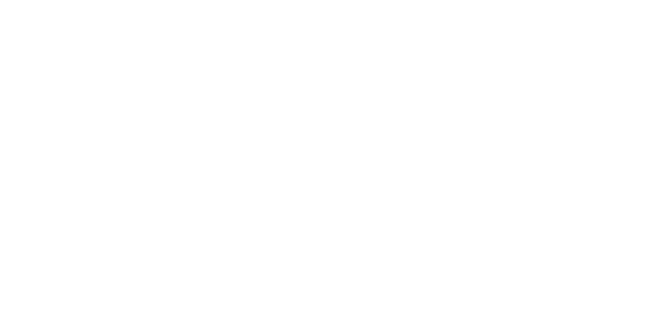 netis